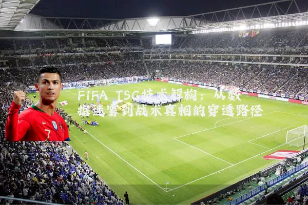 FIFA TSG技术解构:从数据迷雾到战术真相的穿透路径